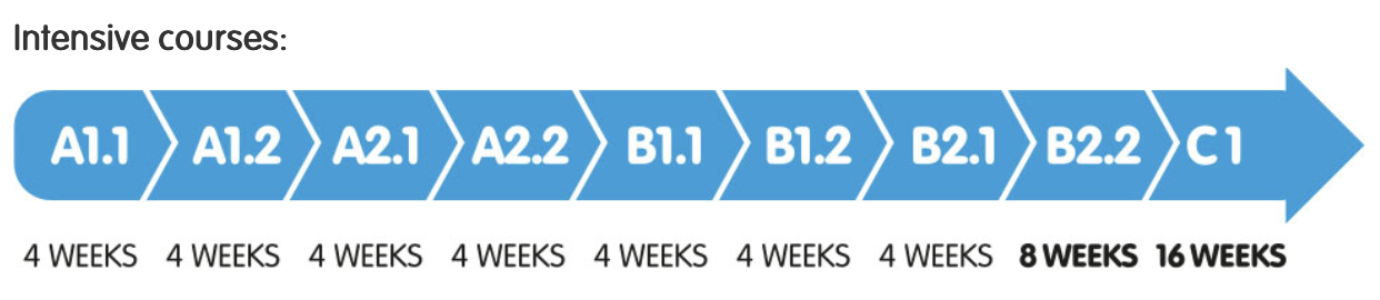 ระดับการเรียนภาษาเยอรมัน